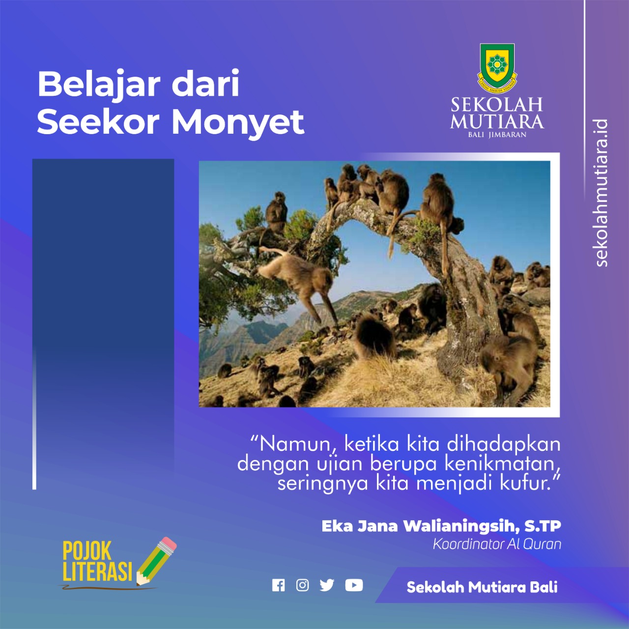 Belajar dari Seekor Monyet