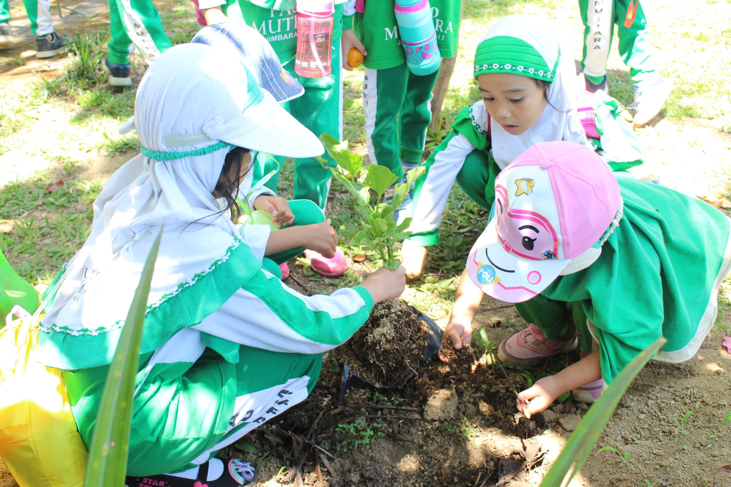 Jalan-jalan Asik Sambil Belajar di Chealse Agro Wisata Bersama Ananda PAUD Mutiara